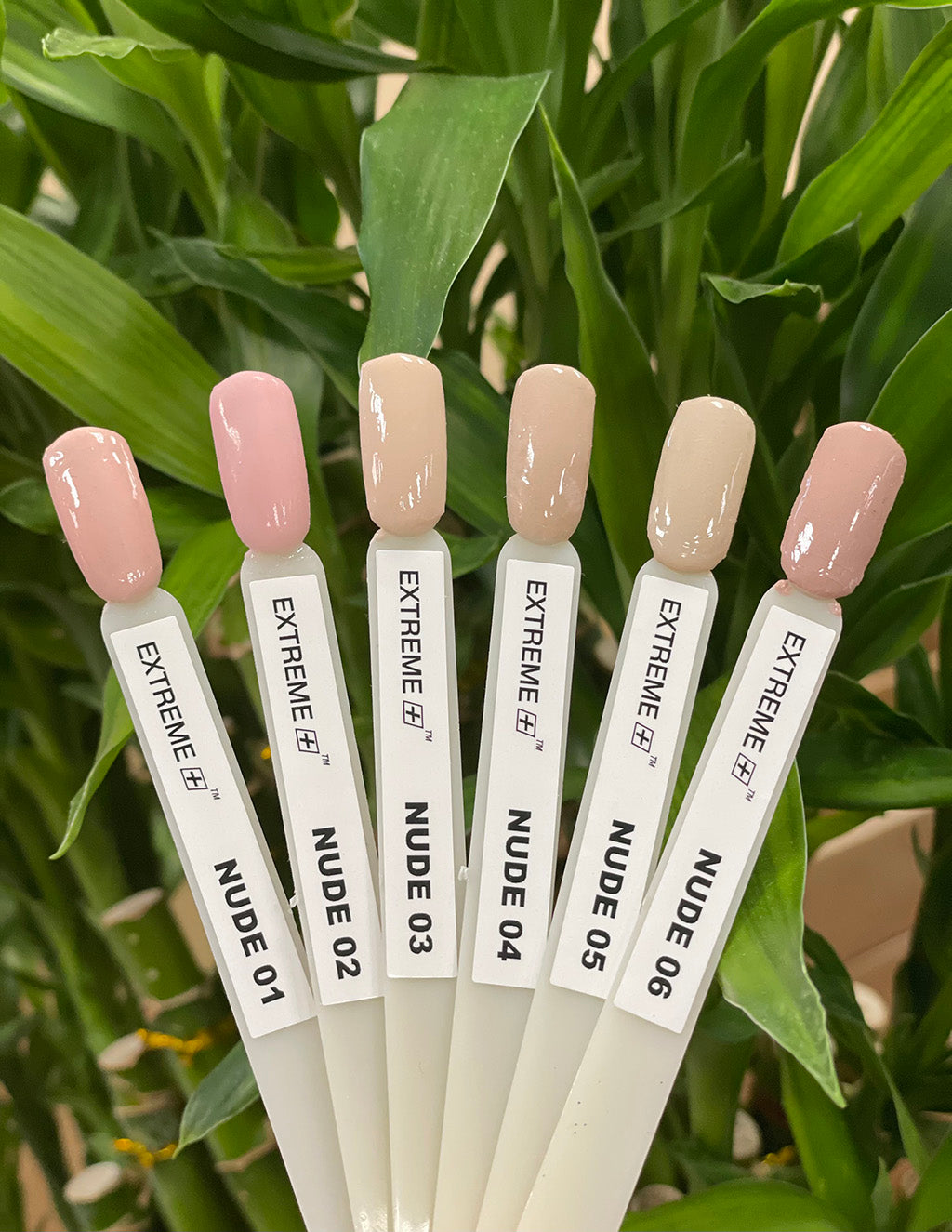 EXTREME+ Bộ phấn phủ màu nude