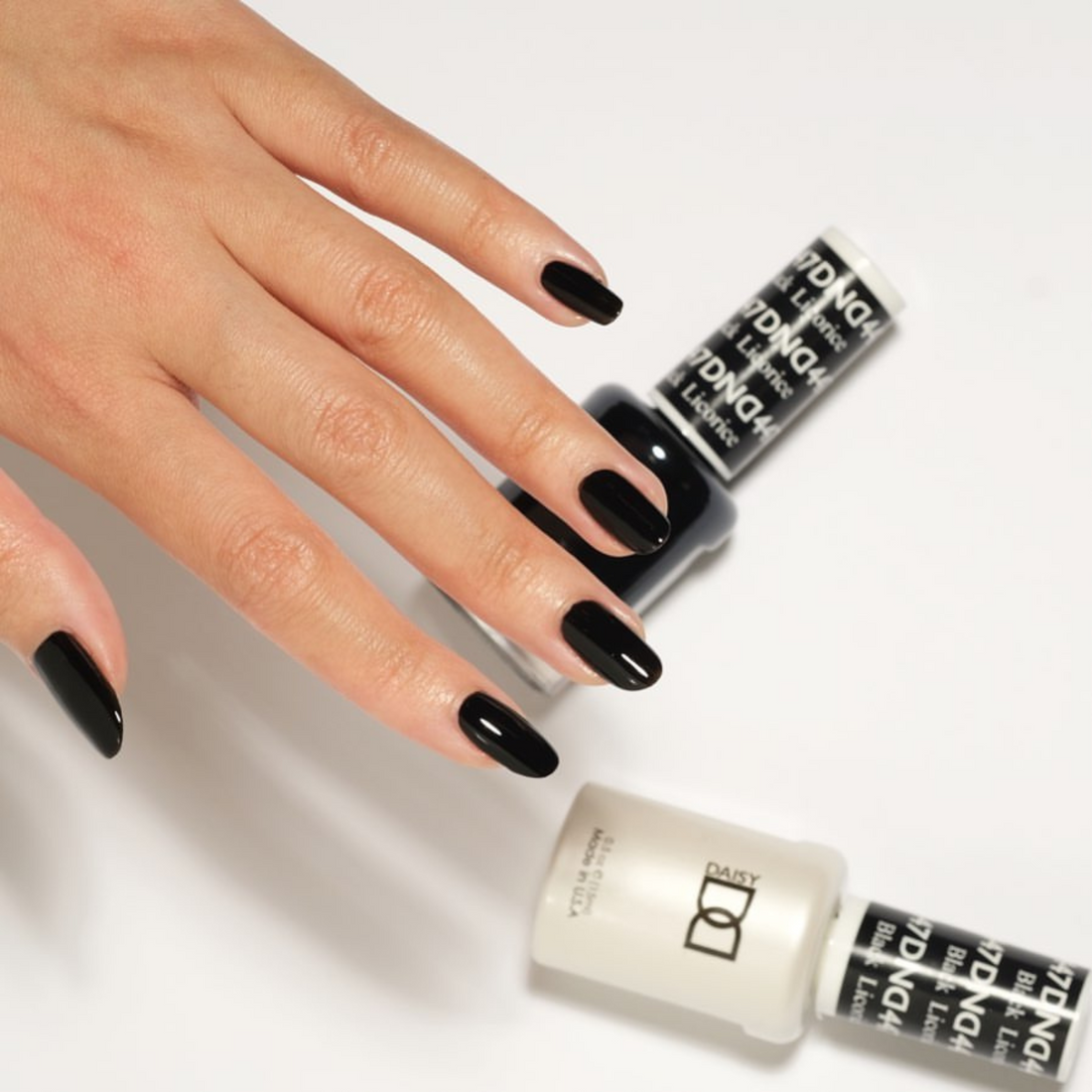 DND 447 Black Licorice