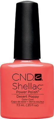 CND - Anh túc sa mạc Shellac 