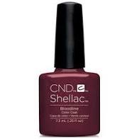 CND - Dòng máu Shellac 